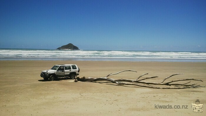 4x4 isuzu bighorn ultimate backpacker car