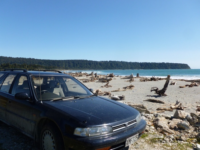 Honda Accord Station Wagon