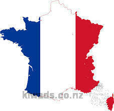 FRENCH NATIVE TEACHER GIVING PRIVATE FRENCH CLASS IN AUCKLAND CBD